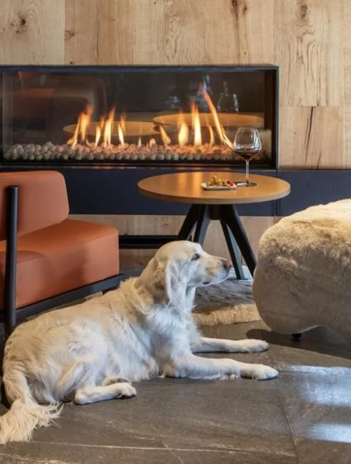 Hotel Acta Arthotel Andorra
